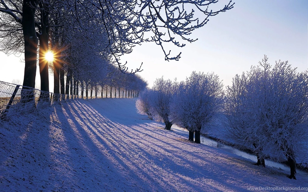 Winter Snow Wallpapers