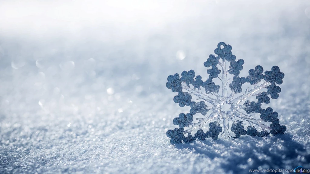 Download Wallpapers Snowflake In The Snow (1920 X 1080 HDTV 1080p ...