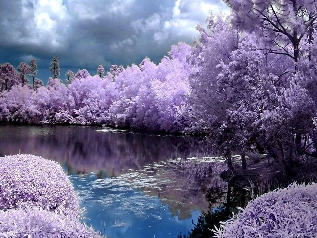Free Spring Desktop Wallpaper Backgrounds