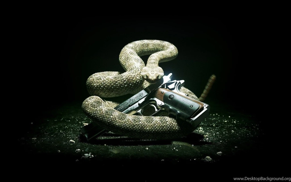 Snake Wallpapers 3620 Wallpapers Pictures Wallnos.com