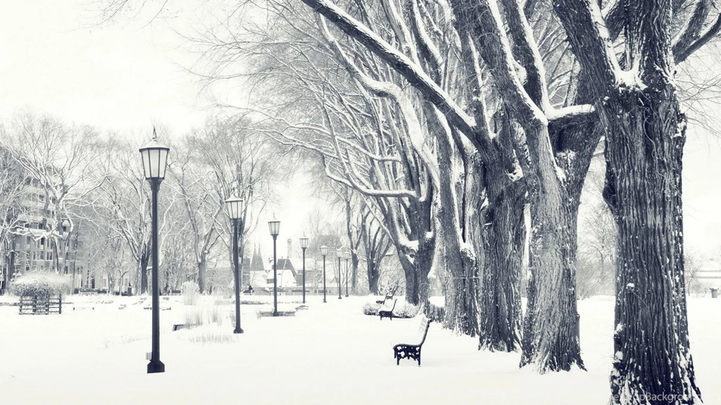 Snow Falling HD Wallpapers