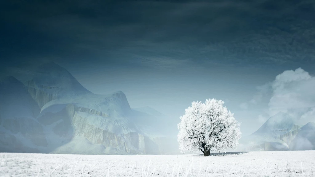 Snow Wallpapers HD