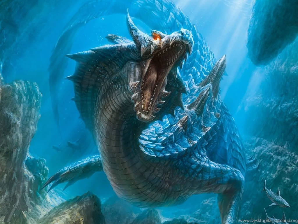 Underwater Wallpaper Backgrounds 177 Pictures