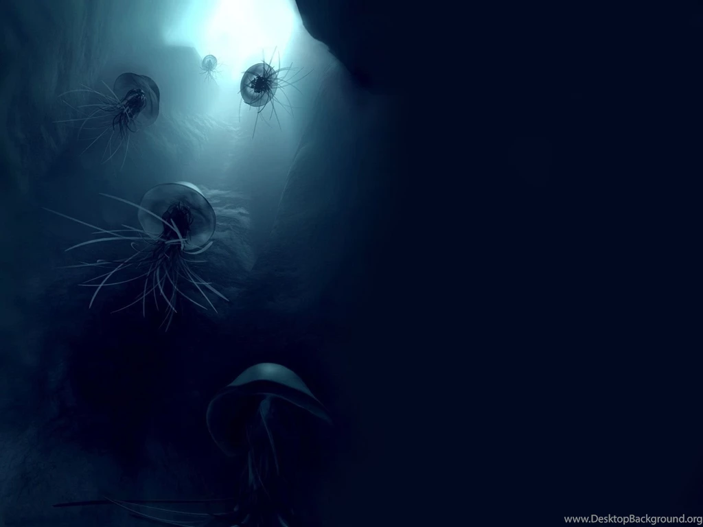 1600x1200 Life Underwater Desktop PC And Mac Wallpapers
