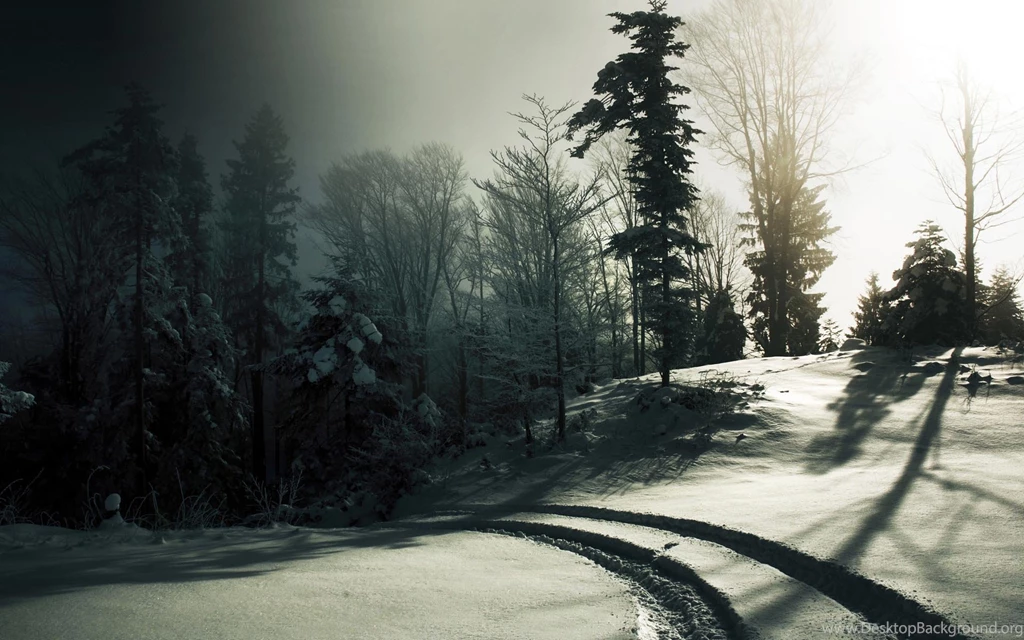 Snow Dark, 1920x1200 HD Wallpapers And FREE Stock Photo