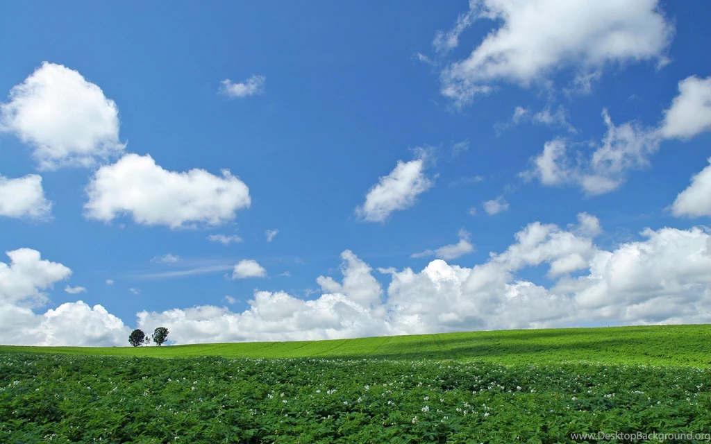 Download Wallpapers 3840x2400 Field, Economy, Hay, Bales, Trees ...