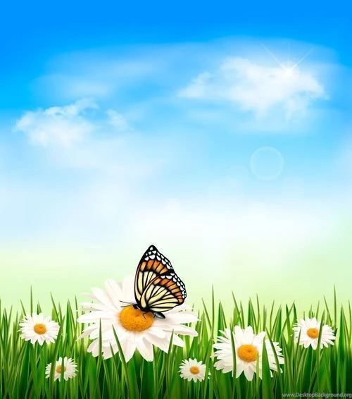 Sunny Blue Sky Backgrounds Vector 03 Vector Backgrounds Free Download