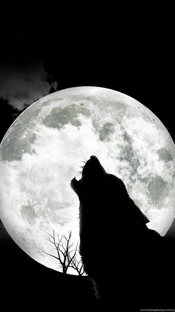 Background, Iphone, Iphone Wallpaper, Moon, Stuff, Wallpapers ...