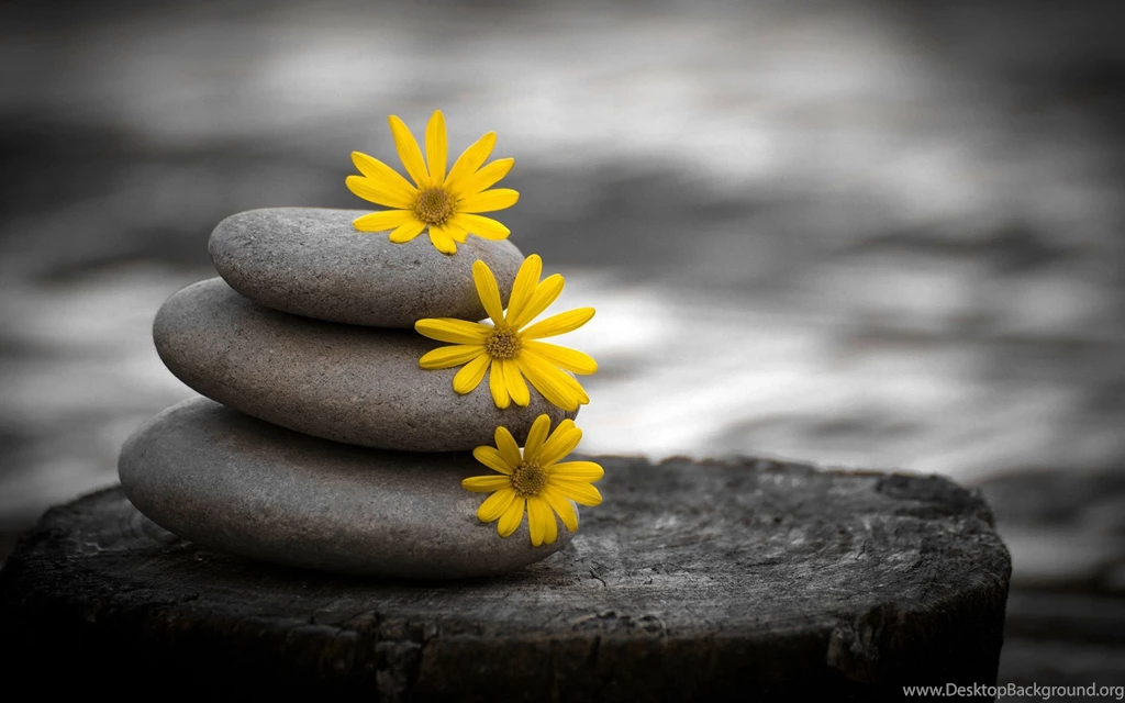 Zen Buddhism Wallpapers Full HD UH50 Pretty Wallpapers HD