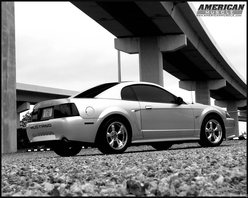 Ford Mustang Wallpapers & Mustang Backgrounds