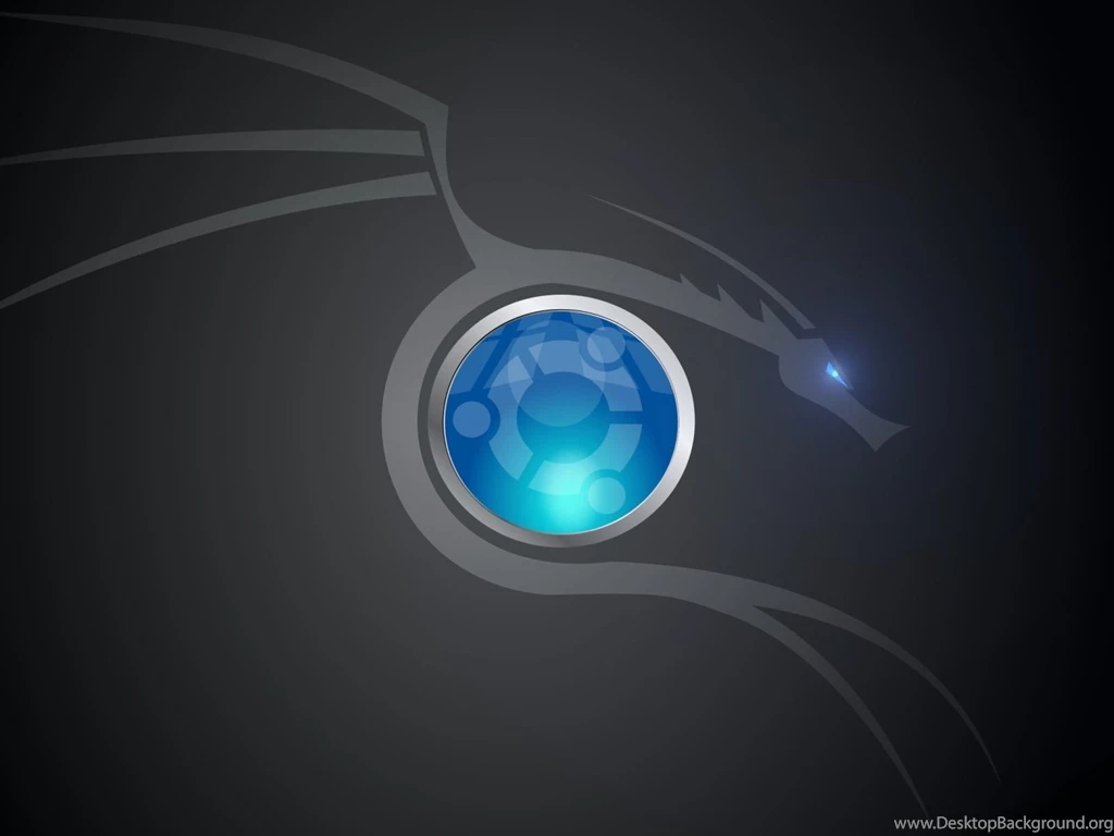 Dragon Wallpapers 24988