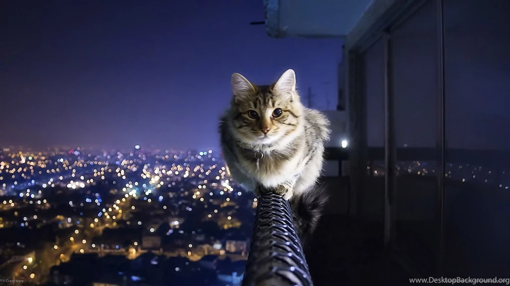 Download 1920x1080 Sick Fearless Bastard Wallpapers
