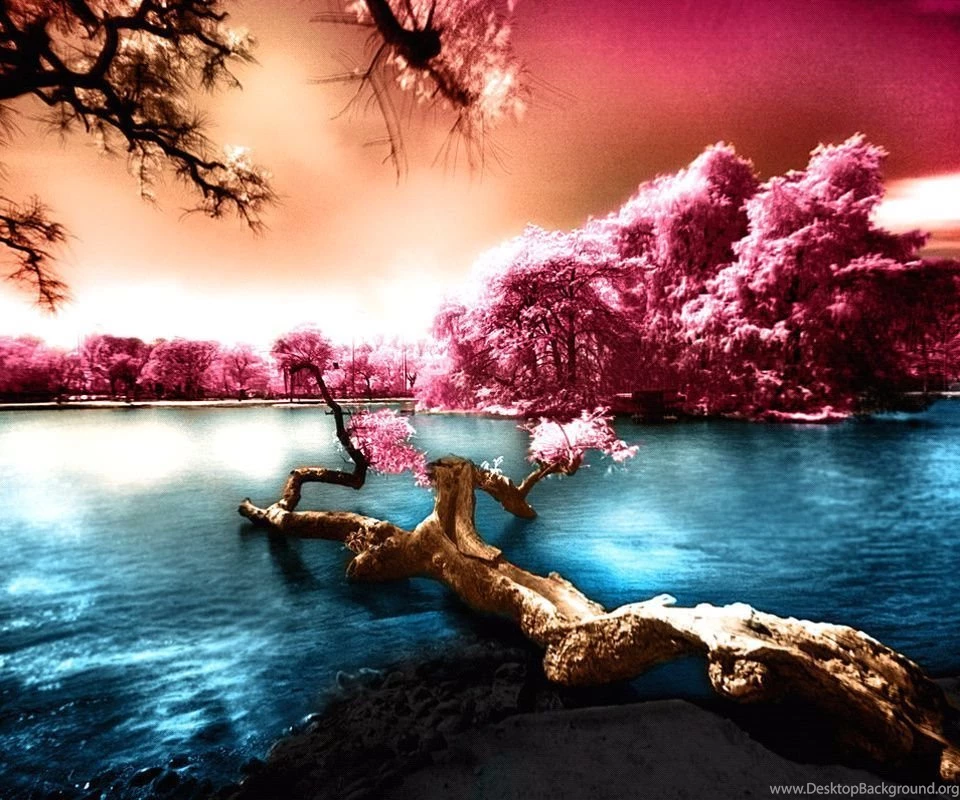 Free Wallpapers For Android Tablet
