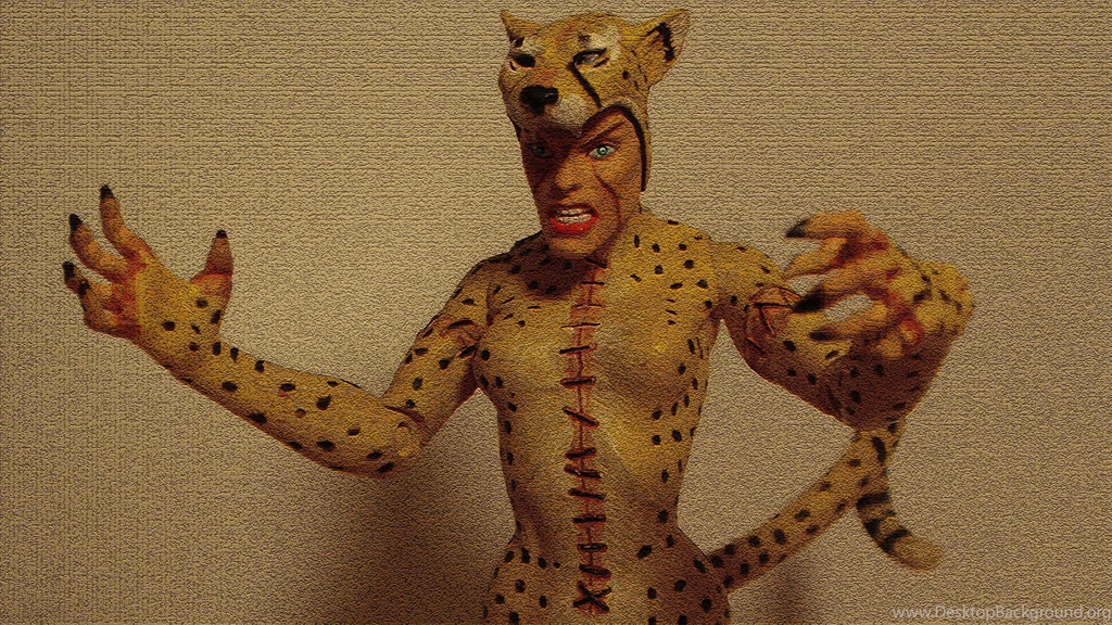 Cheetah Computer Wallpapers, Desktop Backgrounds