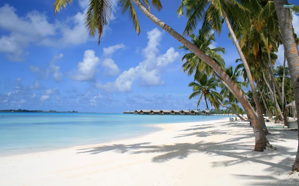 Maldives Wallpapers Beach Wallpapers