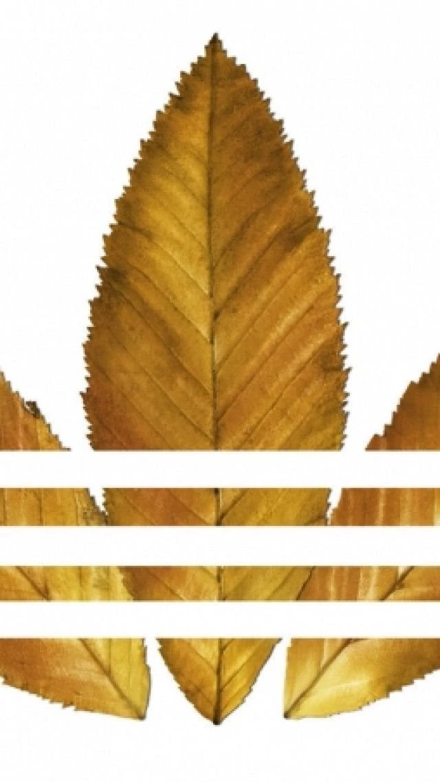 Free Adidas iPhone Wallpapers