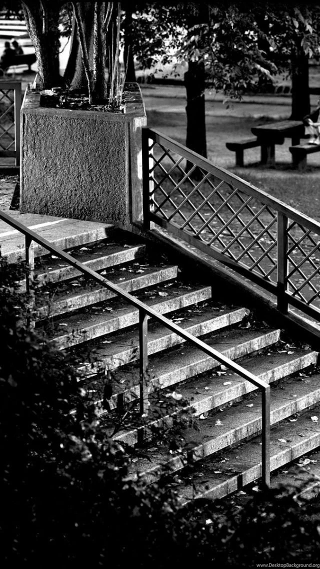 Adidas Skateboarding iPhone 5 Wallpapers