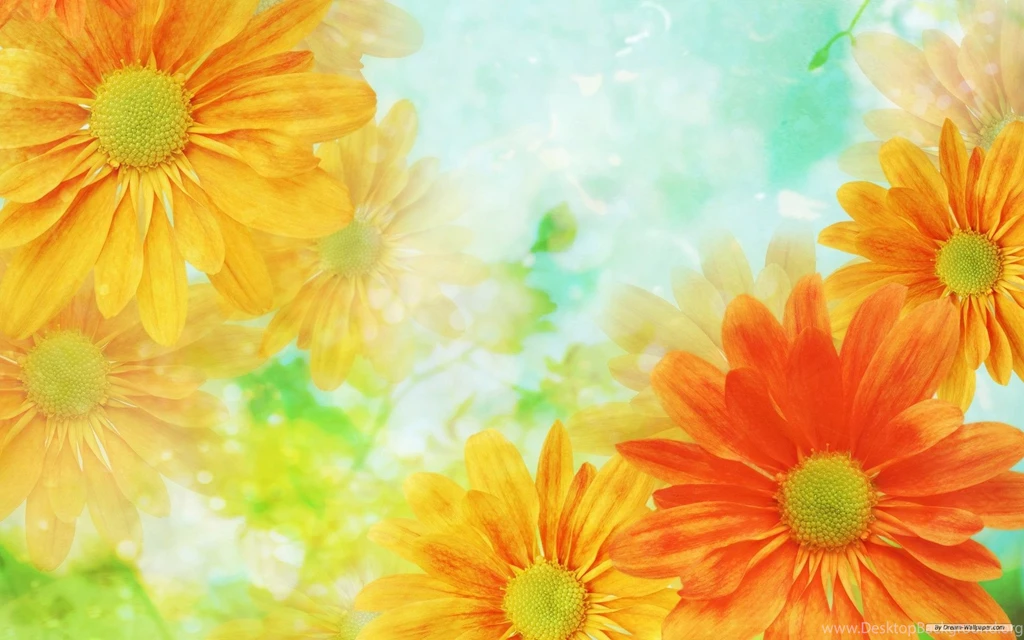 40+ Colorful Desktop Backgrounds