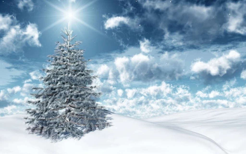 Holiday Tree Wallpapers And Images Wallpapers, Pictures, Photos