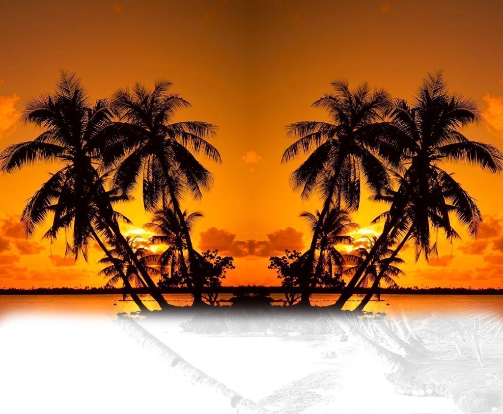 Palm Elevator Cabs Inc. Services