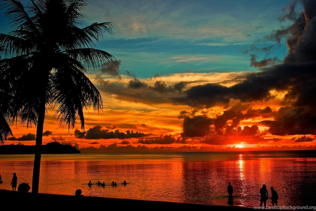 Palm Tree Sunset Wallpapers High Resolution