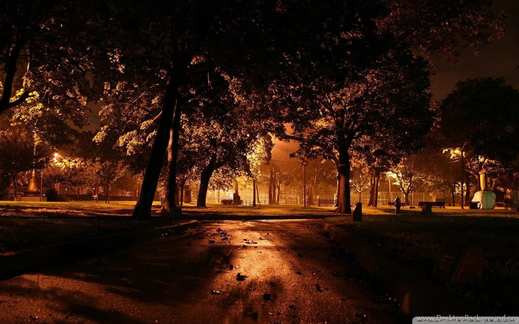Park At Night City Wallpapers Full HD [1920x1200]   Free Wallpapers ...