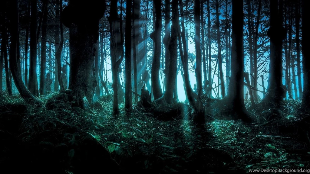 110 Forest HD Wallpapers