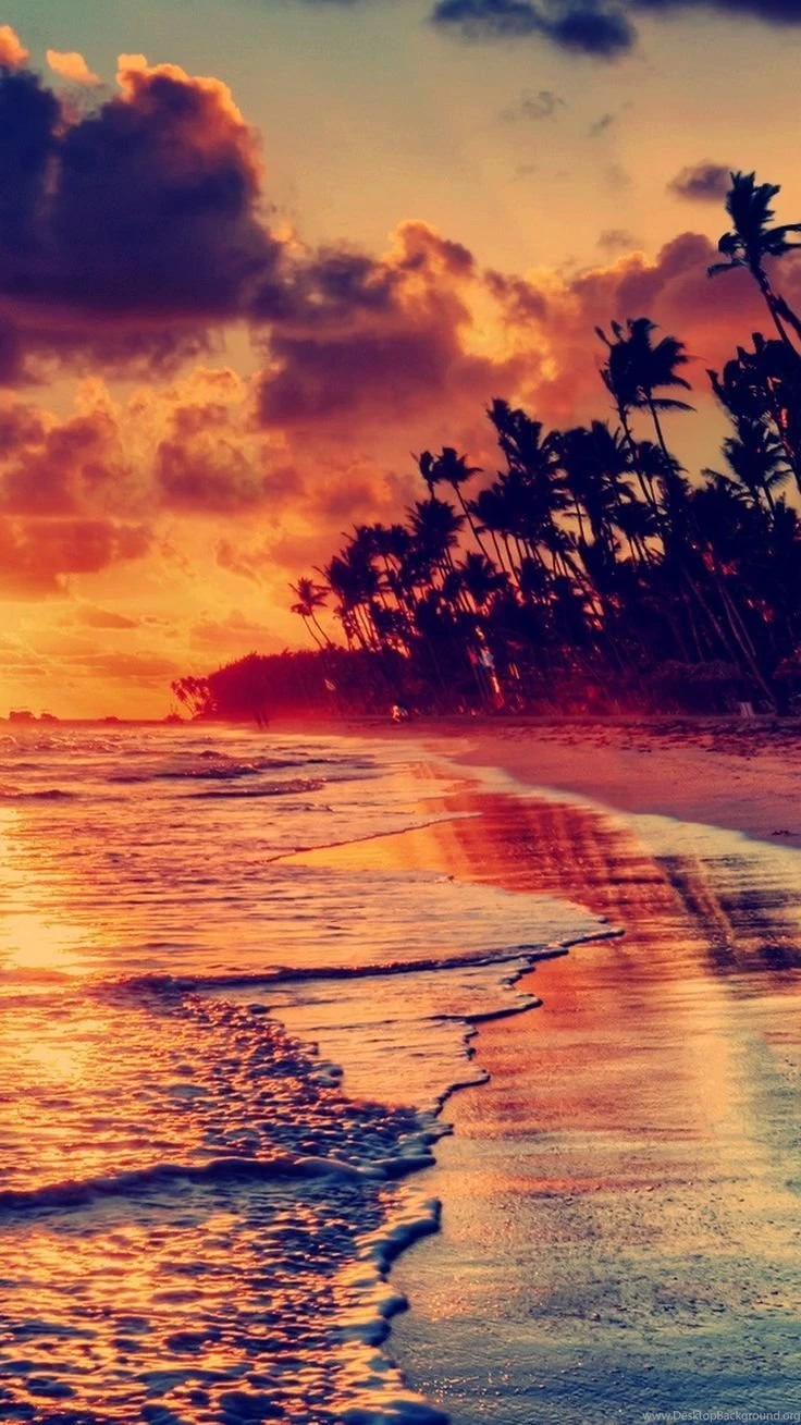 Beach Sunset Iphone 6 Wallpapers Google Search