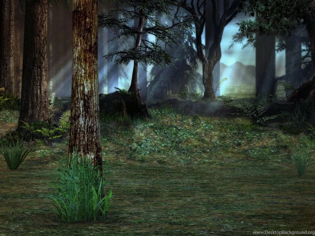 Forest Backgrounds 1 By BlackStock On DeviantArt