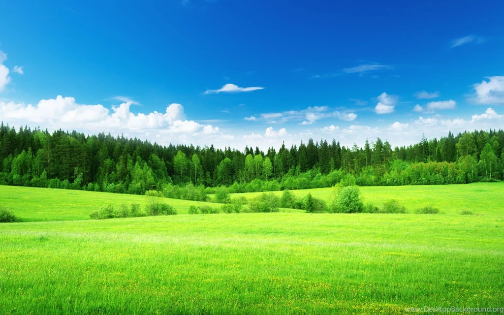 Nature Field Grass Woods Trees Green Forest Sky Clouds Landscapes ...