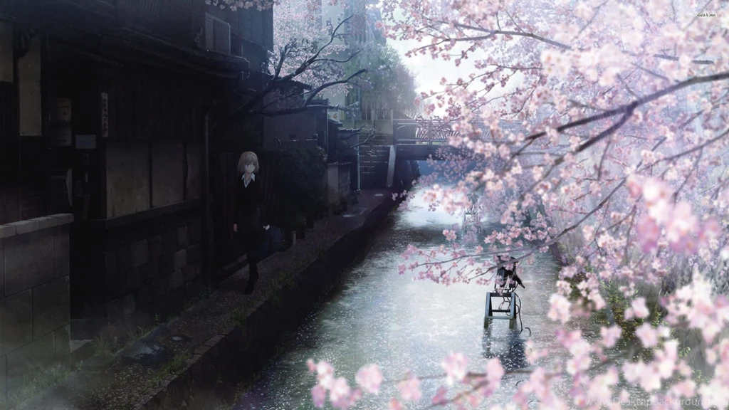 Walking On The Cherry Blososm Filled Tree Wallpapers Anime ...