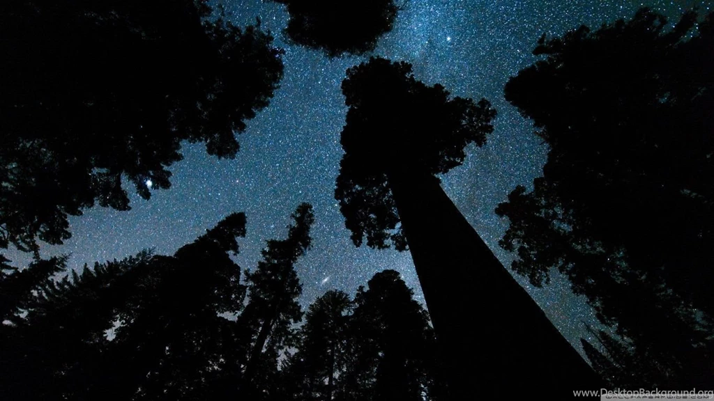 Andromeda And The Milky Way Above The Oregon HD Desktop Wallpapers ...