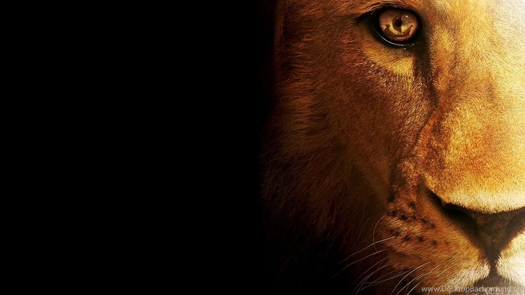 Mountain Lion wallpapers
