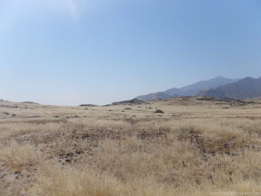 Desert Backgrounds Stock 2 By HumbleBeez On DeviantArt