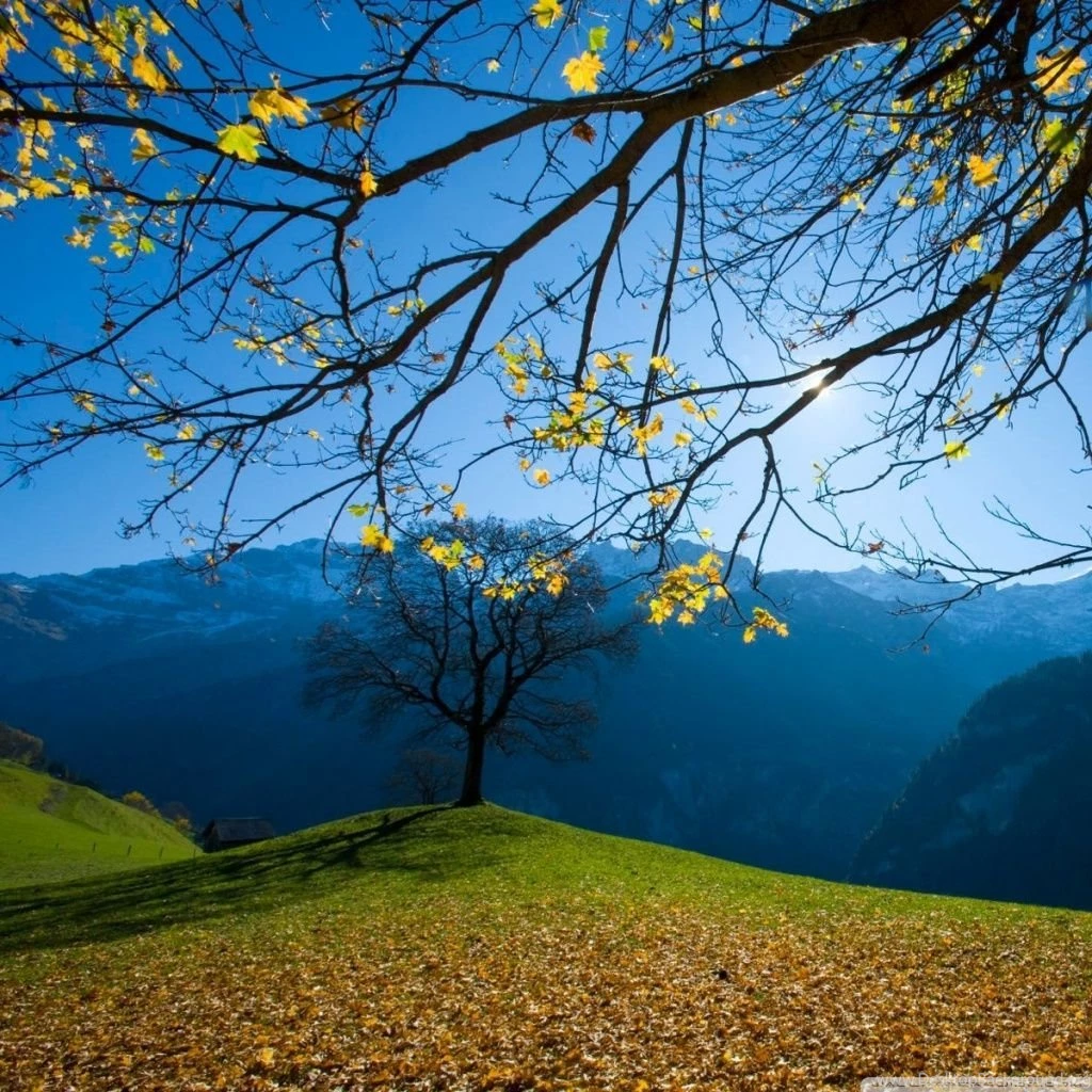 Autumn, Schachental, Switzerland HD Desktop Wallpapers : High ...
