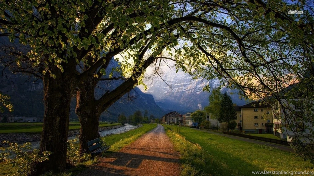 Wooden Bench Under A Tree In A Town In Switzerland Wallpapers ...