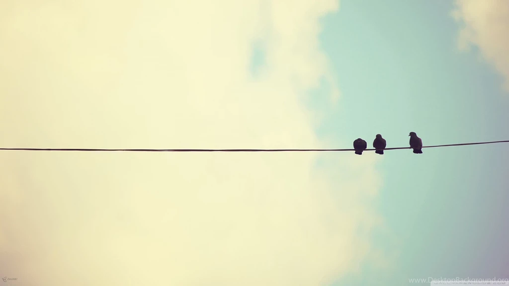 iMac Pigeons Wallpapers Full HD [2560x1440]   Free Wallpapers Full ...