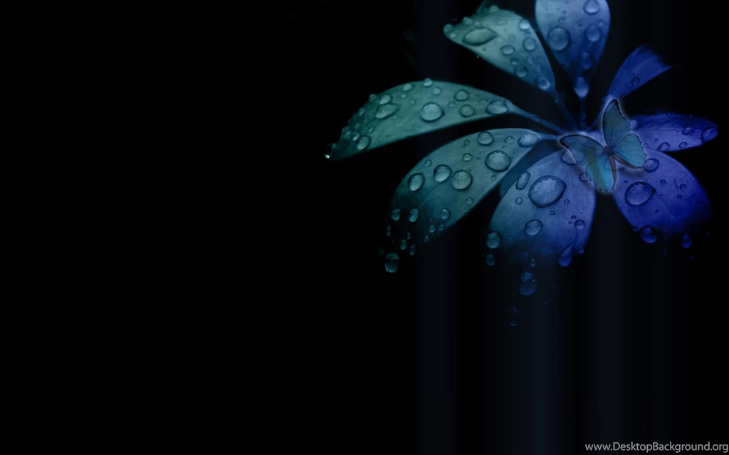 Black Backgrounds With Flowers Wallpapers