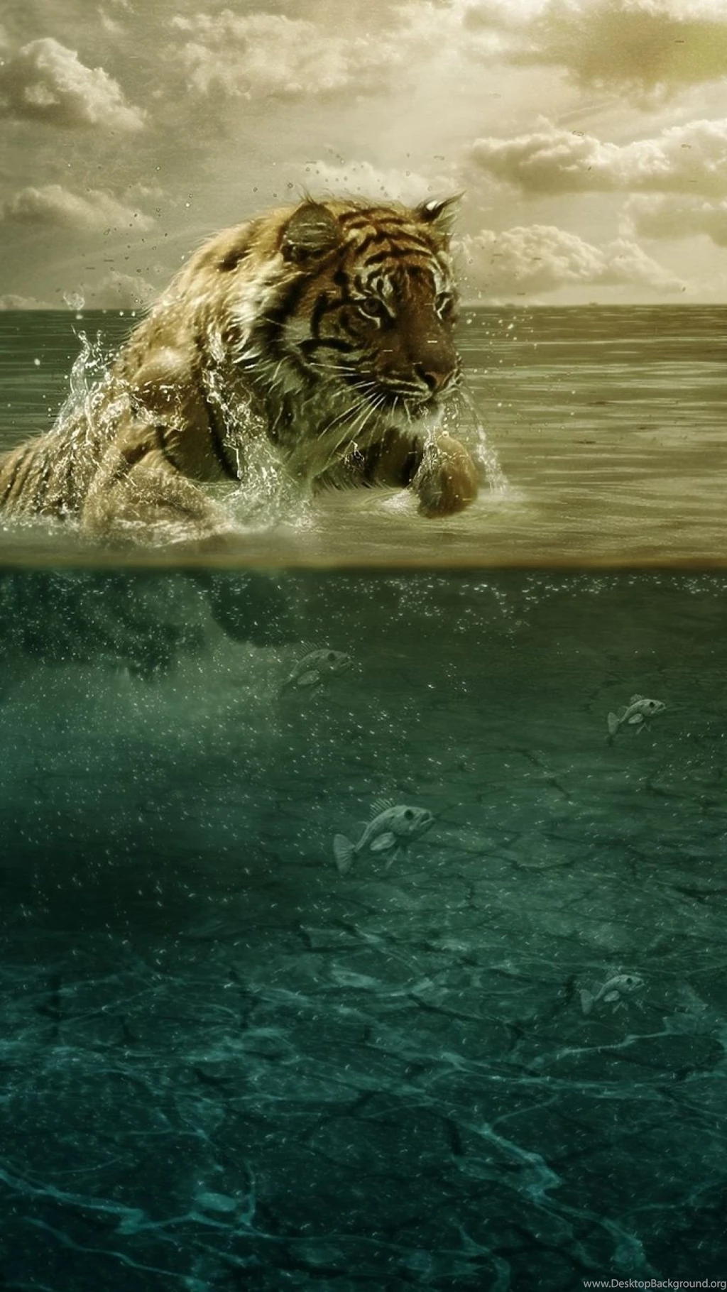 Sony Xperia Z1, ZL, Z, Samsung Galaxy S4, HTC One Tiger Wallpapers ...