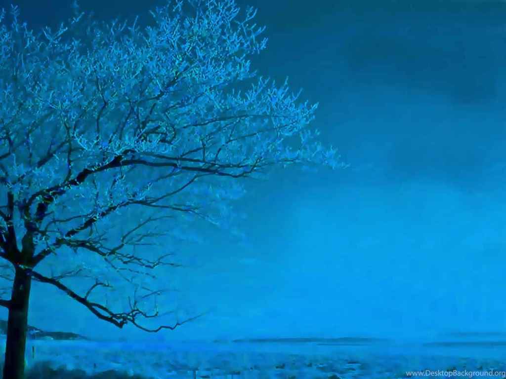 Tree In Light Blue Wallpapers 20837