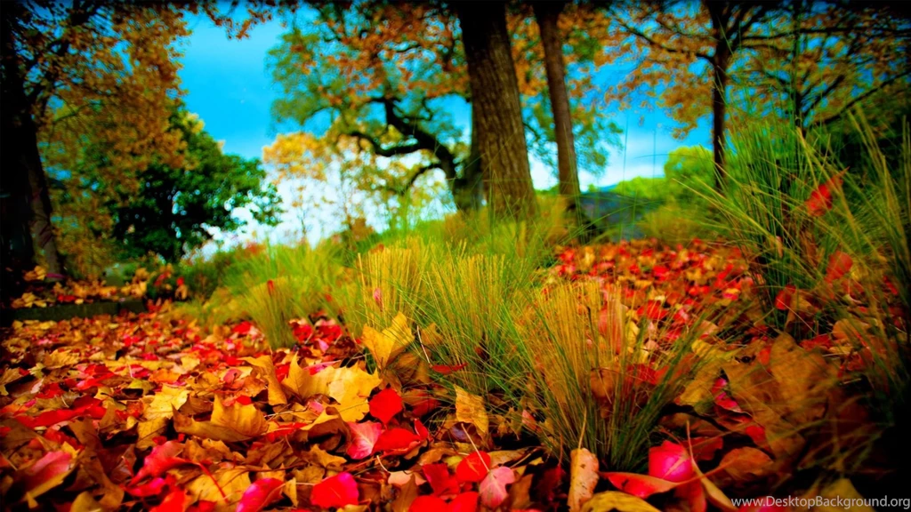 Www.intrawallpaper.com HD Wallpapers Page 1