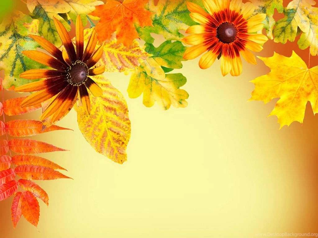 Autumn Backgrounds (