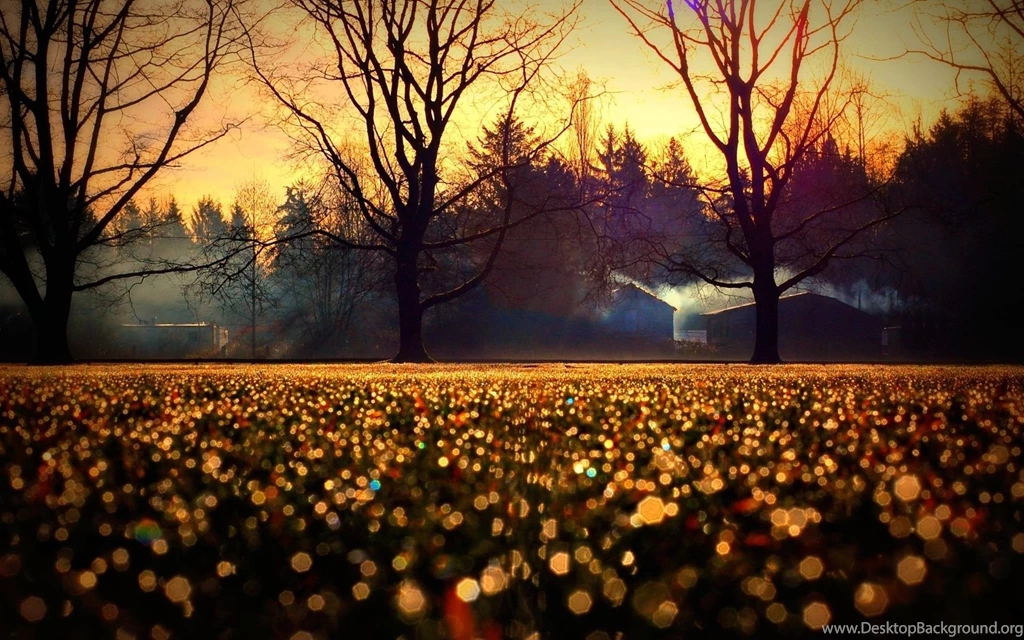 Autumn Backgrounds Wallpapers By JennyMari