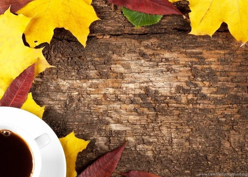 Autumn Backgrounds With A Cup Of Coffee Stock Photo