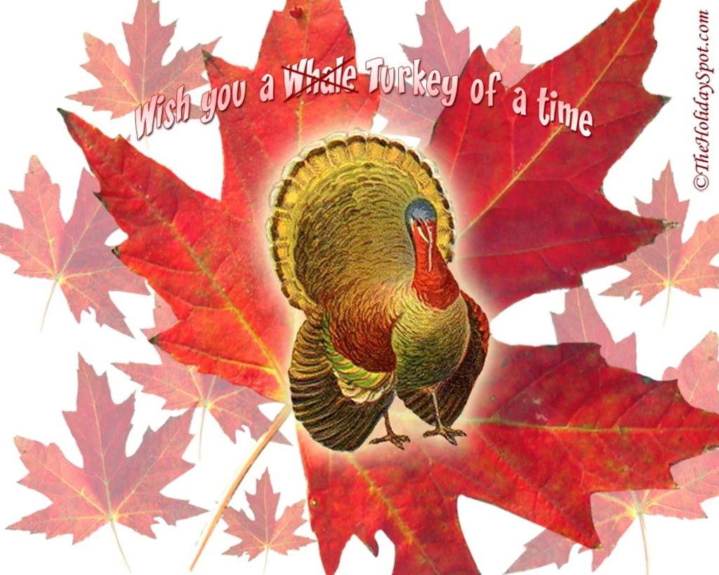 Thanksgiving Wallpapers