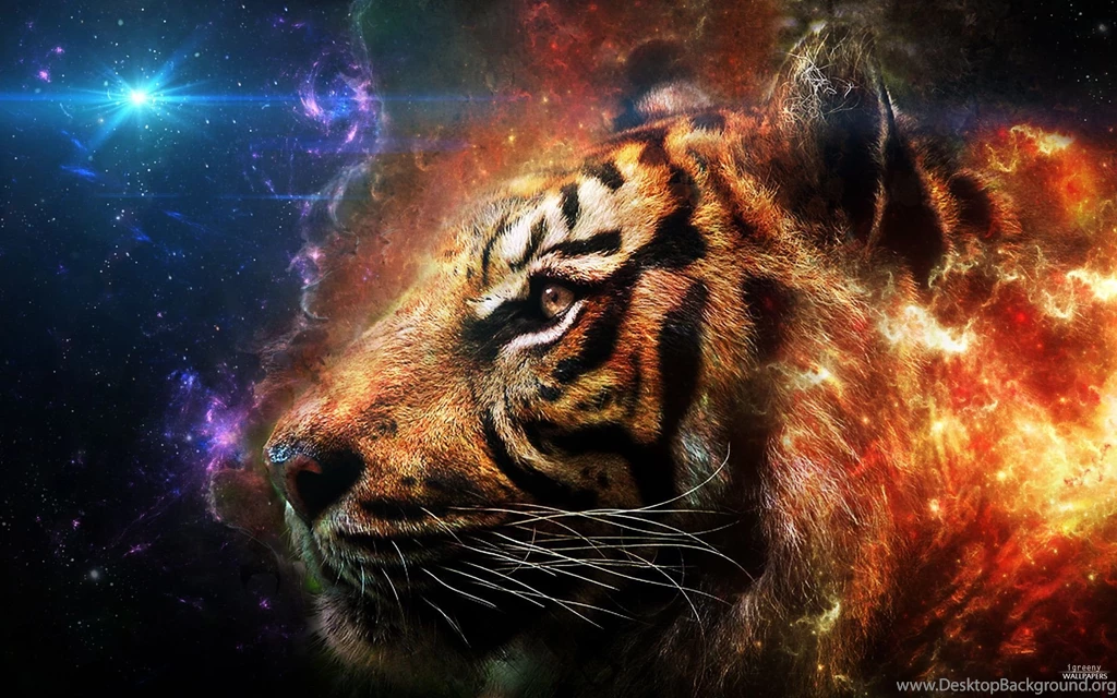 Tiger Computer Wallpapers, Desktop Backgrounds