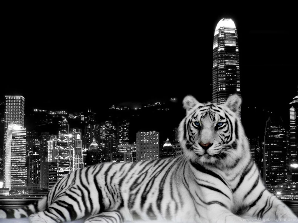 3D Tiger Wallpapers For Desktop.jpg