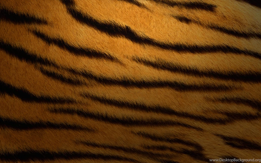 2010 Tiger Wallpapers And Images Wallpapers, Pictures, Photos