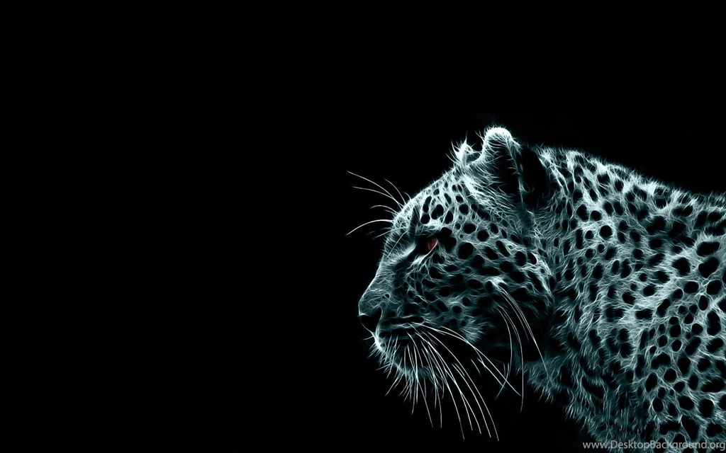 Tiger Computer Wallpapers, Desktop Backgrounds