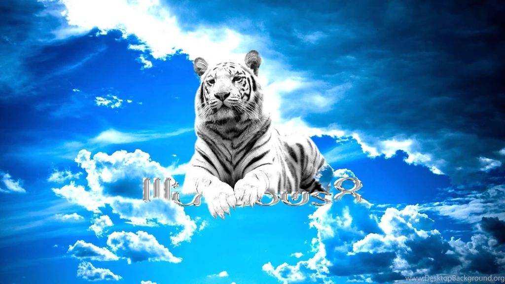 192 White Tiger HD Wallpapers